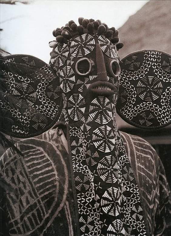Bamiléké halkına mensup fil maskeli (kostümlü) bir dansçı, Kamerun.