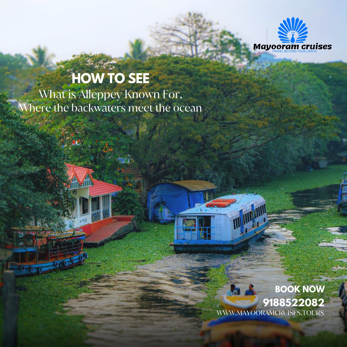 How to See Alleppey Backwaters 🧐
BOOKINGS: 9188522082
mayooramcruises.tours
#alleppey #alleppeytourism #alleppeydiaries #alleppeyboathouse #alleppeyhouseboat #alleppeybackwaters #alleppeyhouseboats #alappuzha #alappuzha🏝️ #alappuzhabackwaters #alappuzhadiaries #alappuzhakaran