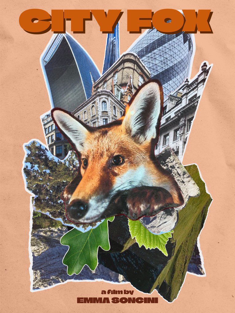 Not to be missed! New movie about city foxes in London. Whatch on youtu.be/P5rwH43w0Mc?si…