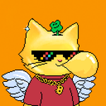 Photo by Bitcoin Meow 🤑🐱 (@BitcoinMeowNFT)