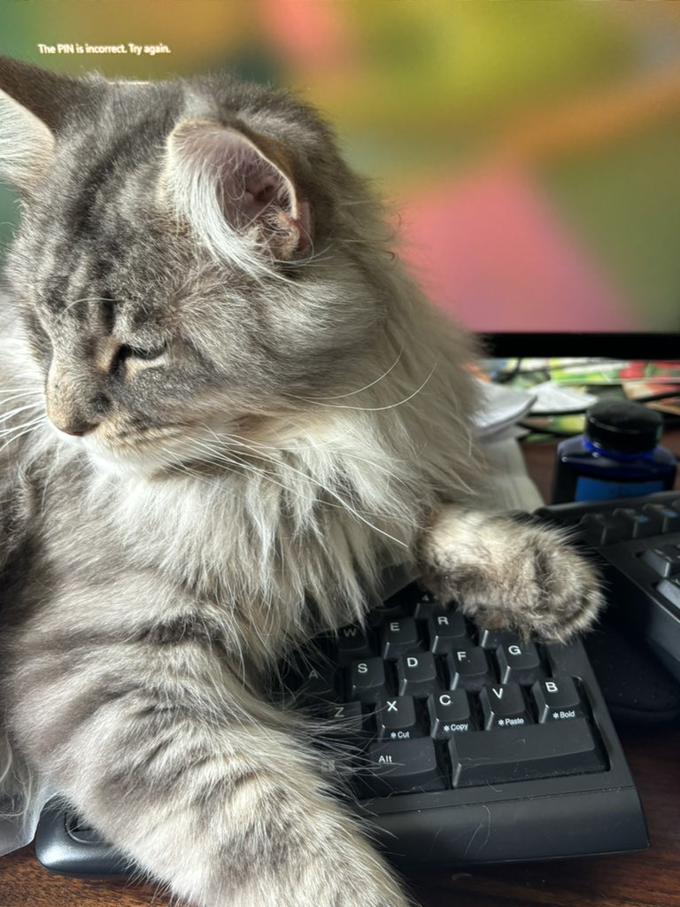 No work for you today human! 😝