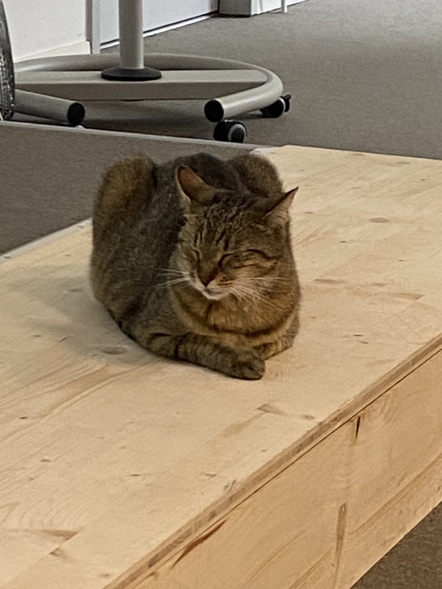 Madame Poppins tweet media