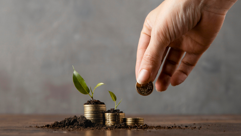 samironwebtrack's tweet photo. Top 10 Small-Cap Mutual Funds for SIP Investments in 2024 - https://t.co/K4OwITpIdh
#SmallCapSIP #MutualFundsIndia #SIPInvestment
#InvestInIndia #GrowYourWealth #LongTermInvesting https://t.co/tMtu5DPBpo
