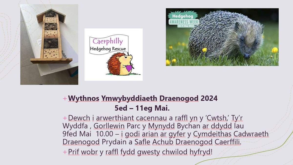 Cardiff University Hedgehog Friendly Campus (@cuhedgehogs) on Twitter photo Bake sale and raffle tomorrow from 10am at Heath Park West to raise funds for <a href="/hedgehogsociety/">Hedgehog Society</a> and <a href="/CaerphillyHog/">Caerphilly Hedgehog Rescue</a>
#HedgehogAwarenessWeek <a href="/CUHealthSci/">School of Healthcare Sciences</a> <a href="/HogFriendly/">Hedgehog Friendly Campus</a> Bake sale and raffle tomorrow from 10am at Heath Park West to raise funds for <a href="/hedgehogsociety/">Hedgehog Society</a> and <a href="/CaerphillyHog/">Caerphilly Hedgehog Rescue</a>
#HedgehogAwarenessWeek <a href="/CUHealthSci/">School of Healthcare Sciences</a> <a href="/HogFriendly/">Hedgehog Friendly Campus</a>