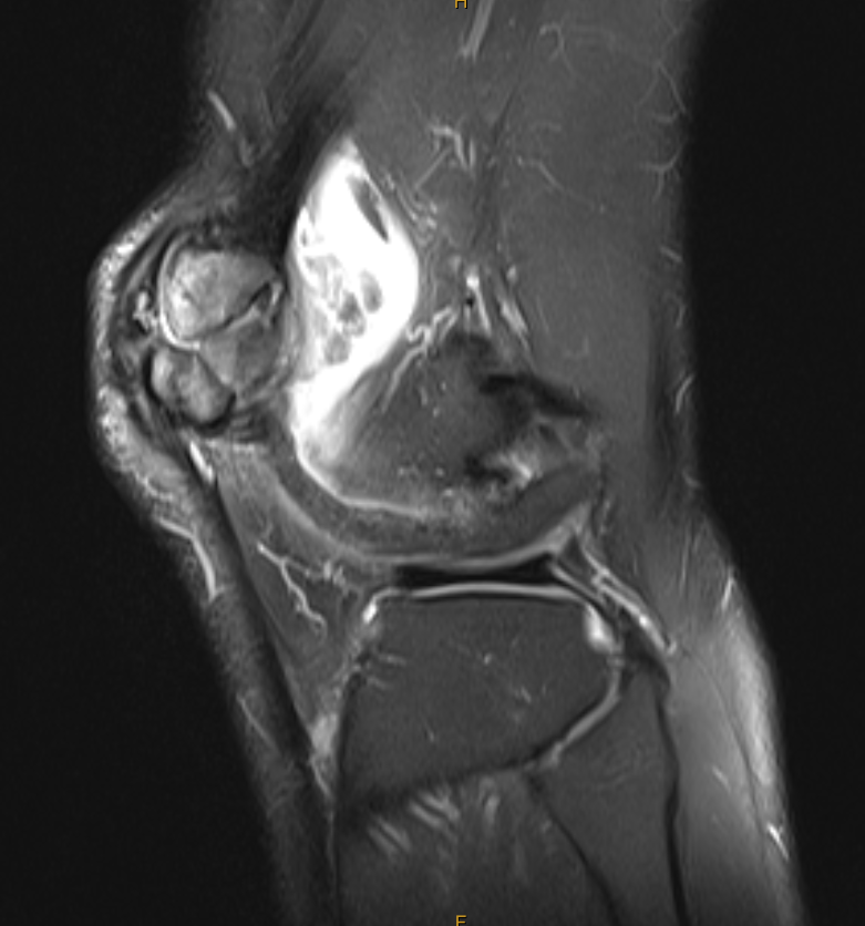 James Noake tweet media