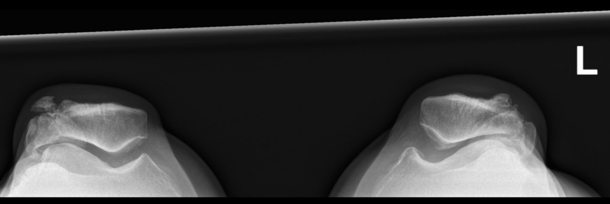 James Noake tweet media