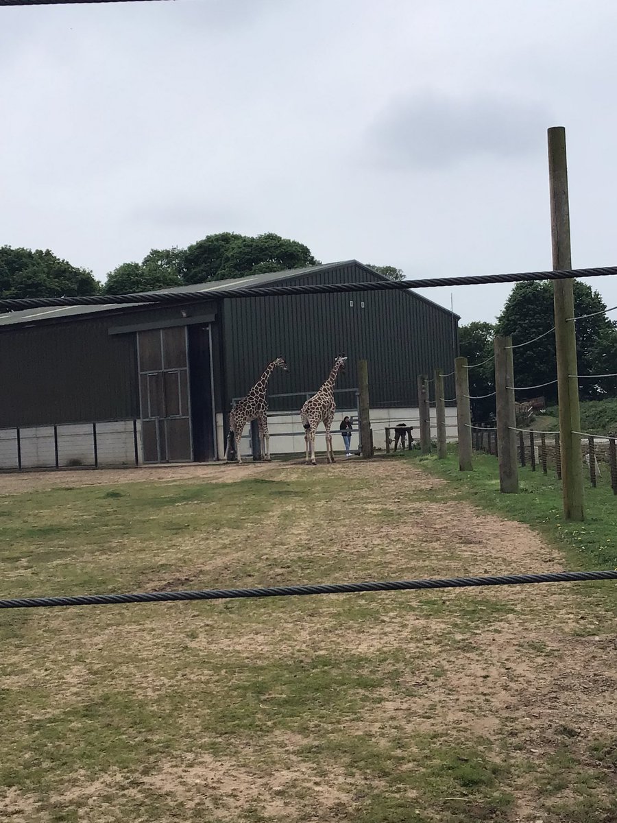 BramblesBeech tweet media