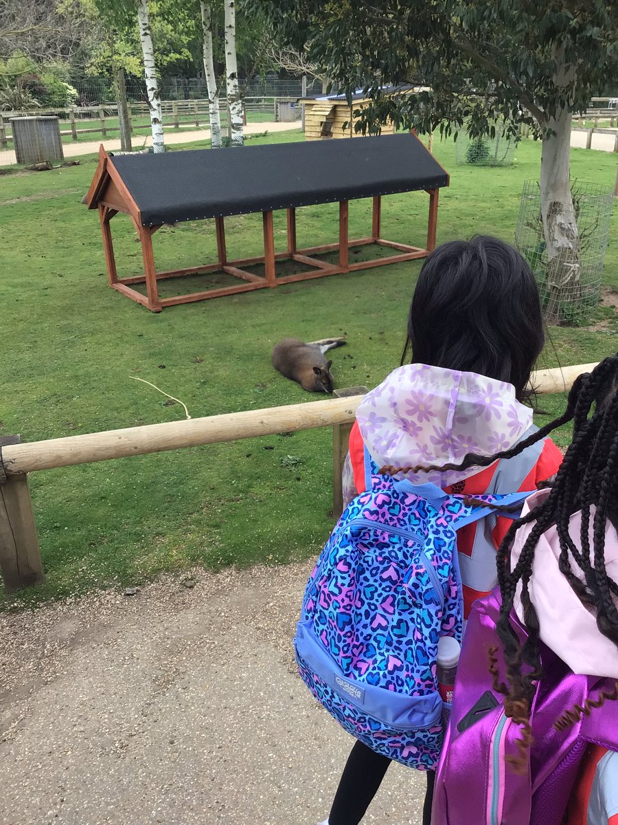 BramblesBeech tweet media