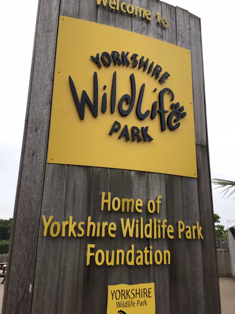 BramblesBeech tweet media