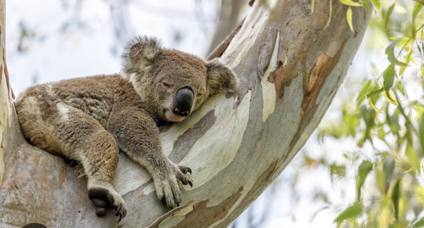 ümit (@mattblackroom) on Twitter photo 