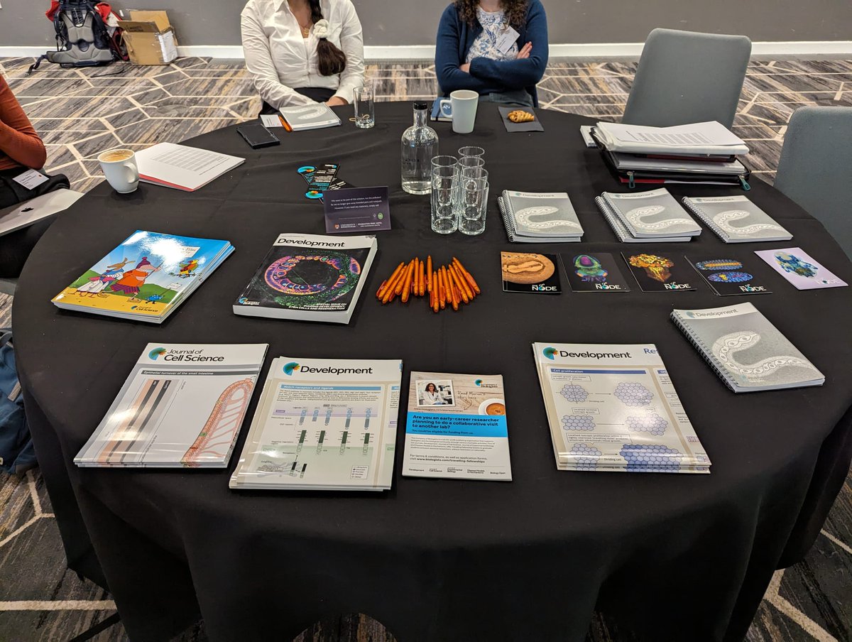 Giulia Boezio tweet media