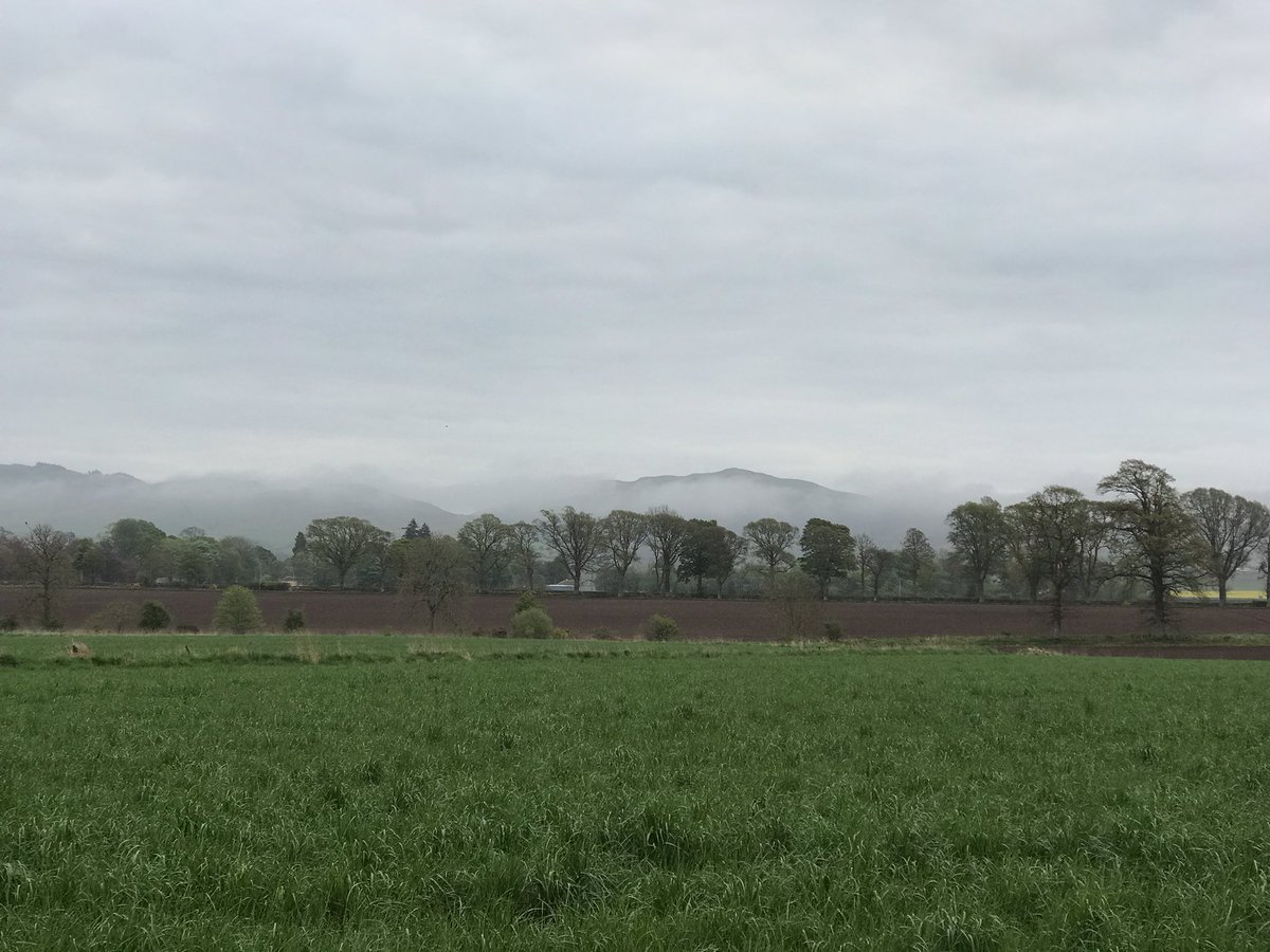 Last night I bought new sheets &amp; duvet covers for <a href="/bikepackingscot/">Bikepacking Scotland</a>’s Forillon, this morning I took the 4.31 <a href="/RideEmber/">Ember</a> bus to Perth &amp; 🚴‍♂️ to Alyth. 

Loads of things can be done by bike! And nature is just lovely at the moment.

The house is available here stay.bikepackingscotland.com