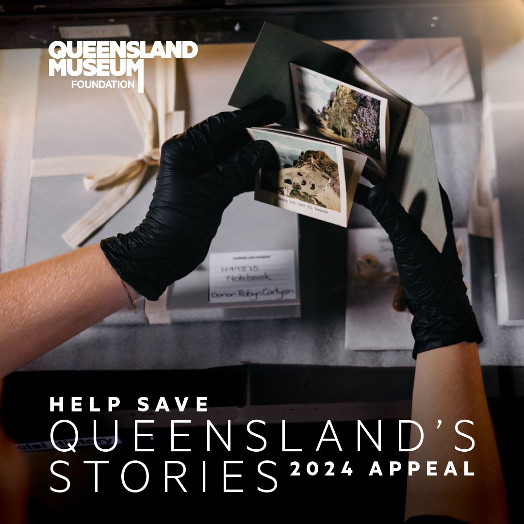 Our collections tell extraordinary stories and we want to share them with you. Support the #QM2024Appeal today to help us digitally preserve Queensland’s stories and enable access for everyone. bit.ly/44zoPsl #QldMuseum #SaveQLDstories
