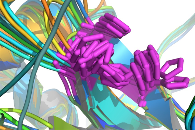#articulodelmes
📝An ancient bacterial zinc acquisition system identified from a cyanobacterial exoproteome
👥Cristina Sarasa-Buisan,Jesús A.G.Ochoa de Alda,Cristina Velázquez-Suárez,Miguel Ángel Rubio,Guadalupe Gómez-Baena,María F. Fillat  e Ignacio Luque
i.mtr.cool/cqdbixiiwr