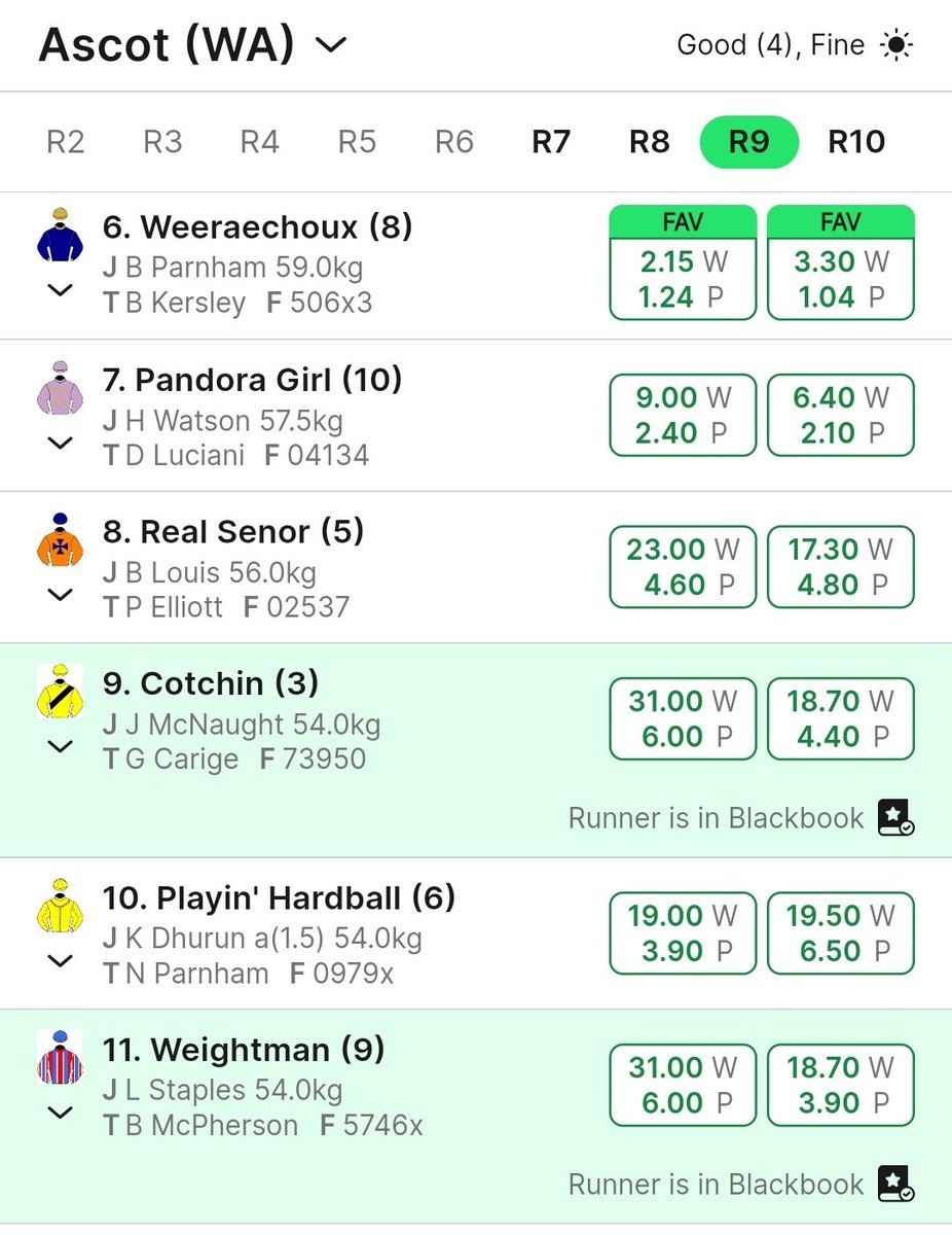 Kareeming 🇦🇺 🐴🐯 tweet media