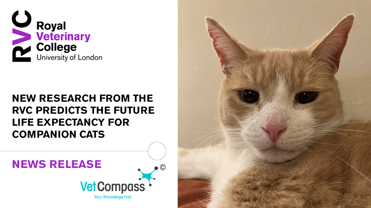 🐈 New research from the RVC, in collaboration with researchers from the National Chung Hsing University (NCHU) in Taiwan, has produced the first-ever ‘life tables’ for the UK companion cat population. @VetCompass ➡️ Read more: rvc.uk.com/VetCompass-cat…
