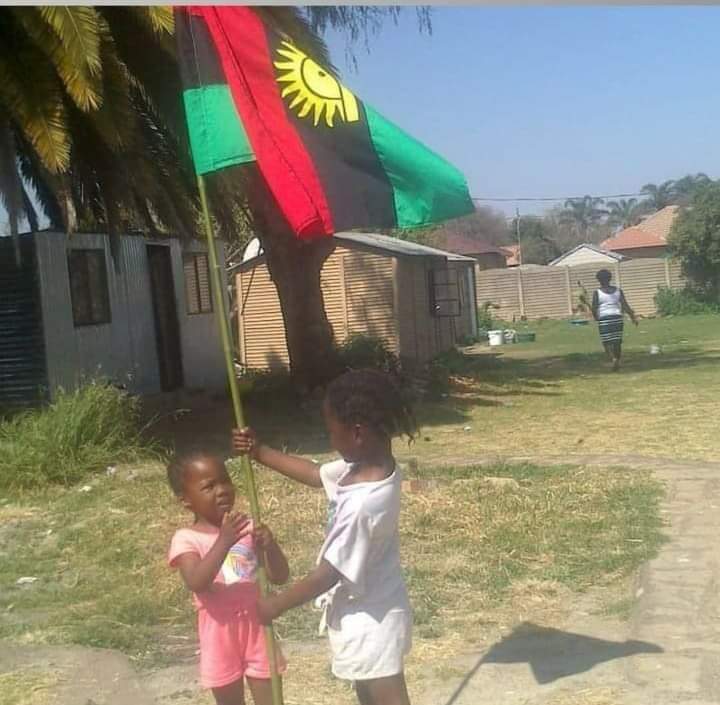 A picture that best described Biafra quest and the determination of a Biafran child to work assiduously in restoring the hope of a battered race. #SupportBiafra #Code0530