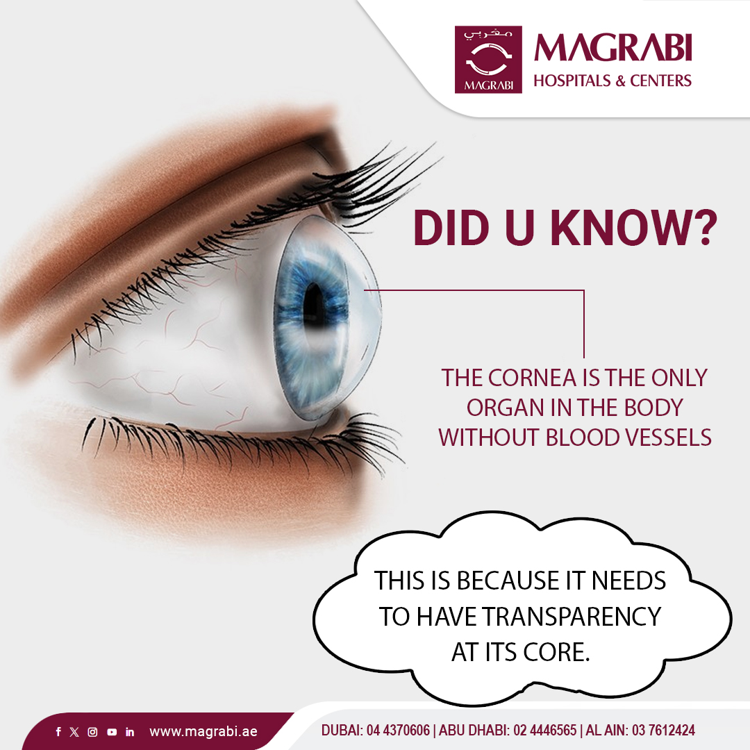 Did you know? Your cornea is unique—it's the only organ without blood vessels, maintaining transparency for clear vision! Nutrients are delivered through tears and aqueous humor behind the eye. 

Explore more about eye health and care with us.🌟 

#EyeHealth #EyeHospital