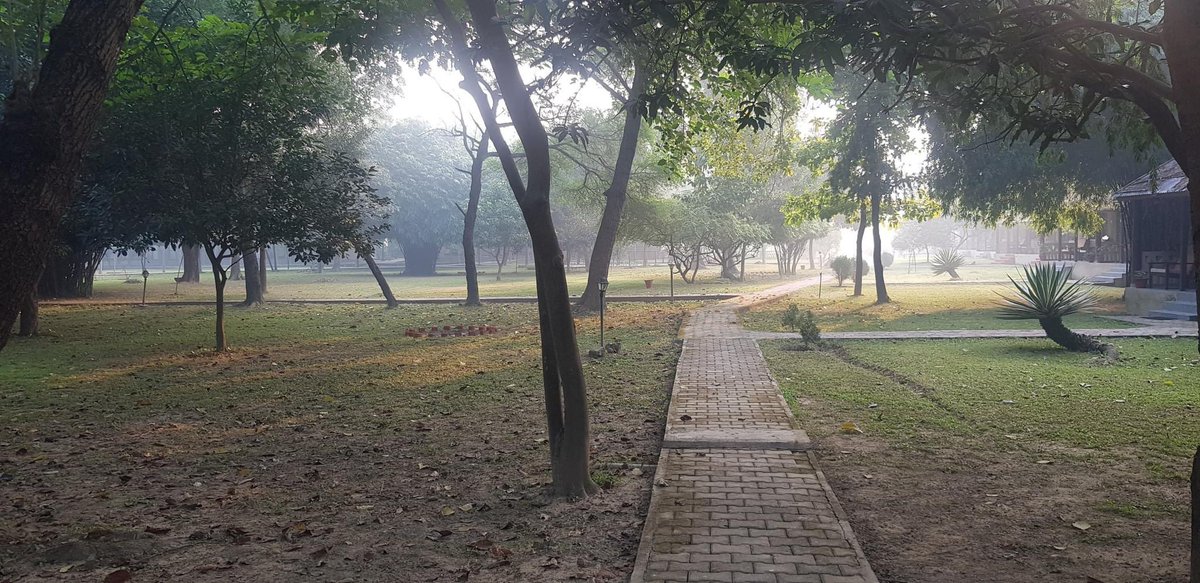 Recent rains rejuvenate Lumbini: lose yourself in tranquil beauty, while uncovering thrilling escapades amidst nature’s embrace ⋆.˚🦋༘⋆ ❀ 
#PeacefulRetreat #lumbini #nepal #lowlands #kathmandu #foryou #explorerpage #facebookgroup #Butwal #Nepalganj #birjgunj  #Hetauda