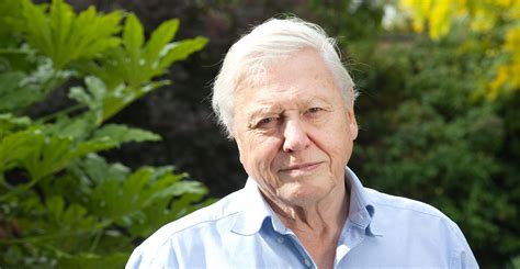 StevenIsserlis's tweet photo. David Attenborough is 98 today. What a man!
People must feel that the natural world is important and valuable and beautiful and wonderful and an amazement and a pleasure.
Are we happy to suppose that our grandchildren may never be able to see an elephant except in a picture book? https://t.co/AeNzasfhNh