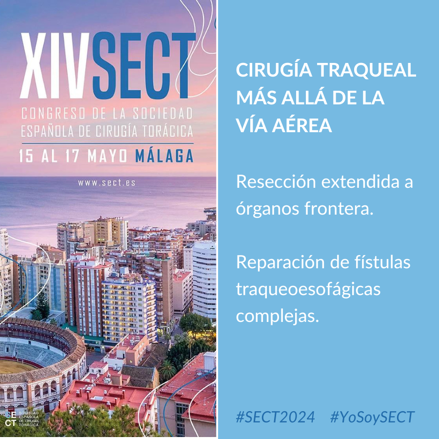 SECT tweet media