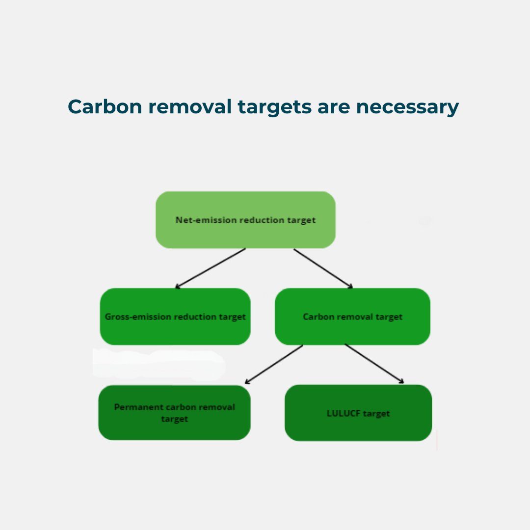Carbon removal targets are necessary ✅
🌍The sector lacks clarity and market certainty
🚀Ambitious targets for 2040 need to be separate and distinct from gross-emission reduction goals
🌱These targets must be comprehensive and address permanent carbon removals and LULUCF targets