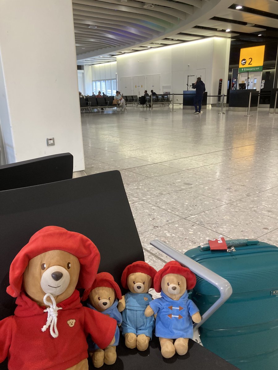 Spotted at <a href="/HeathrowAirport/">Heathrow Airport</a> , a daddy bear takes his young cubs on a  trip.. #travelingpaddingtons #travelingbear