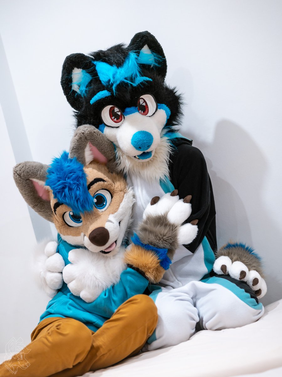 I found this big cuddly cutie <a href="/RapidtheHusky/">Rapid</a> 

📸<a href="/vlaaacek/">VlaceK</a>