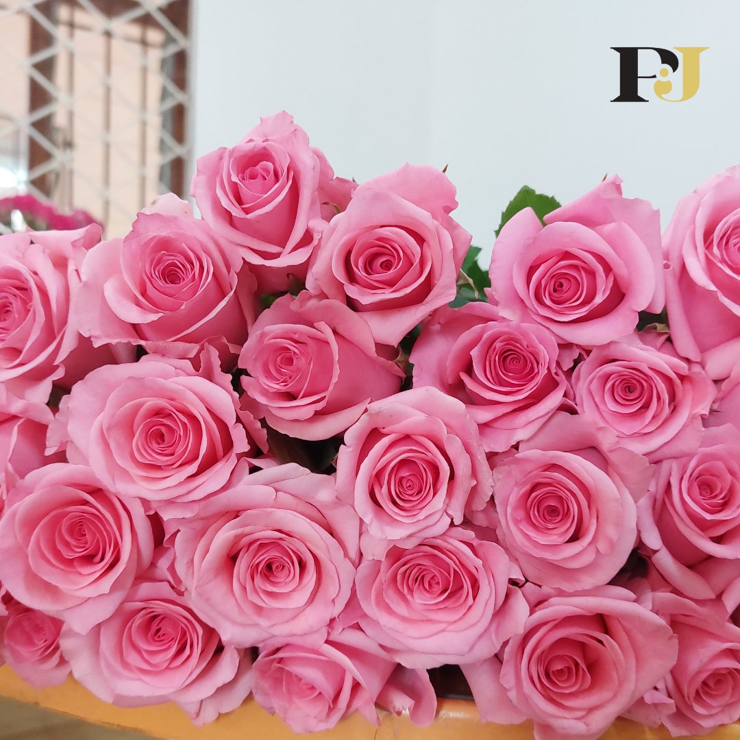 Tick-tock, just 4 days left until we celebrate the superheroes in our lives: Moms! 

In picture: Opala 

Order today via marketing@pjdave.com or Call/WhatsApp at +254 787 635 491

#pinkroses #picturesofinstagram #mothersday2024 #pjdaveflowersgroup