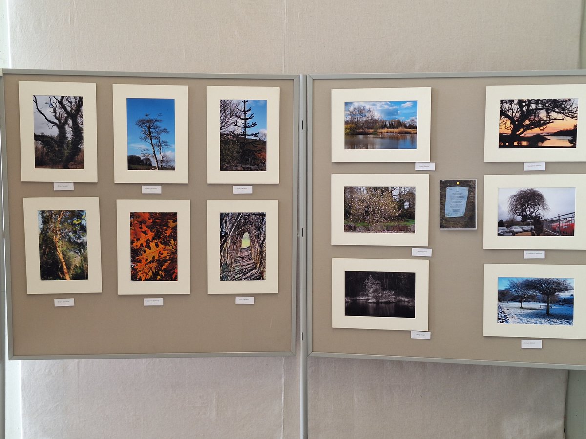 #Bantrylibrary is delighted to host a lovely trees photography exhibition on behalf of Bantry Active Retirement Association, Camera Club. It can be viewed in the library foyer throughout the month of May.

#Bealtaine #whatlibrariesdo #agefriendlybantry