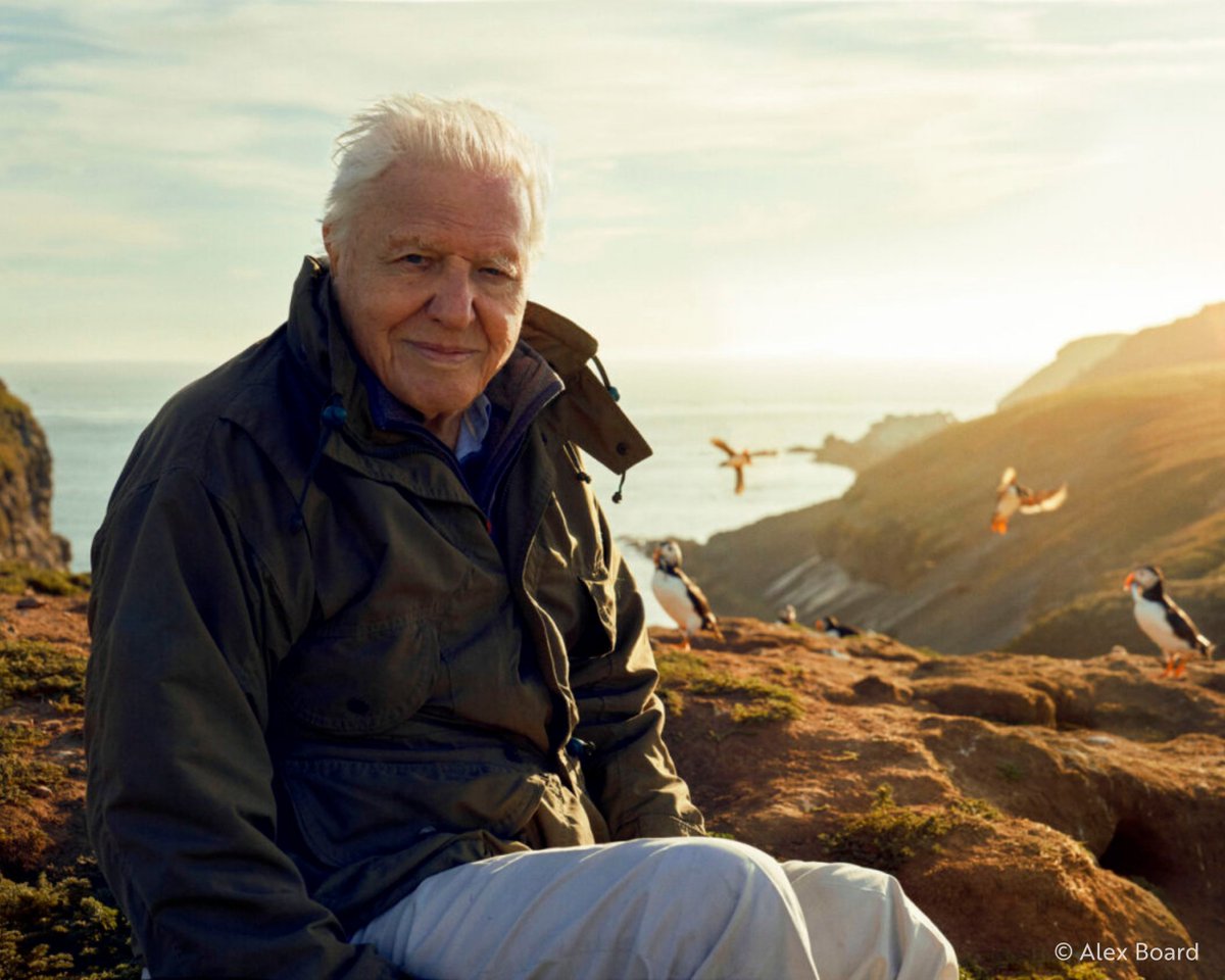 To a man who has dedicated his life to conserving and understanding our natural world: Happy 98th Birthday! 🎉 Sir David Attenborough, thank you for your decades of devotion to our planet's wonders and wildlife.