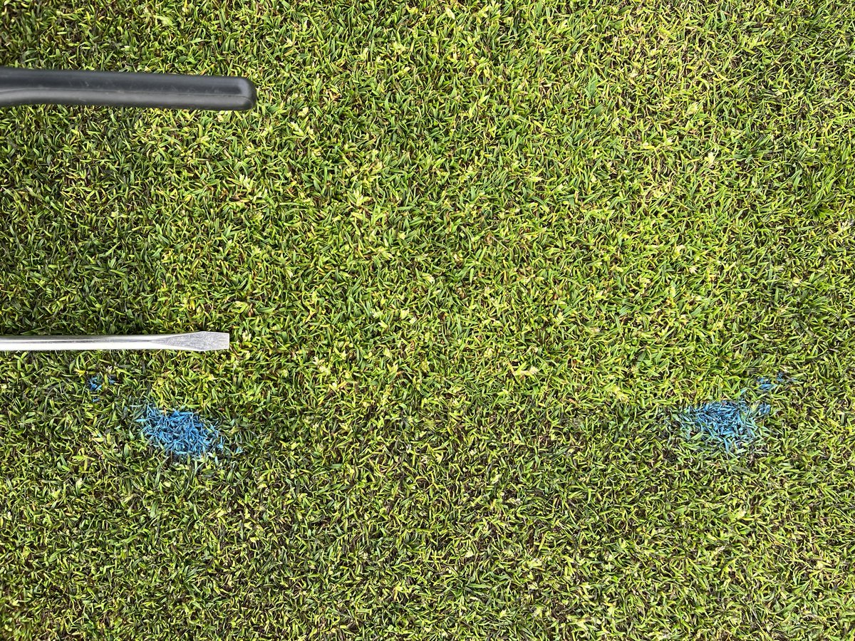 Darren McLaughlan tweet media