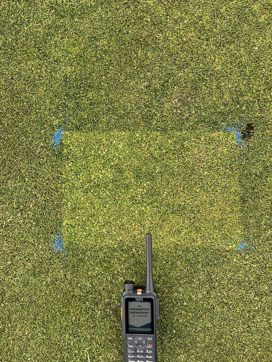 Darren McLaughlan tweet media