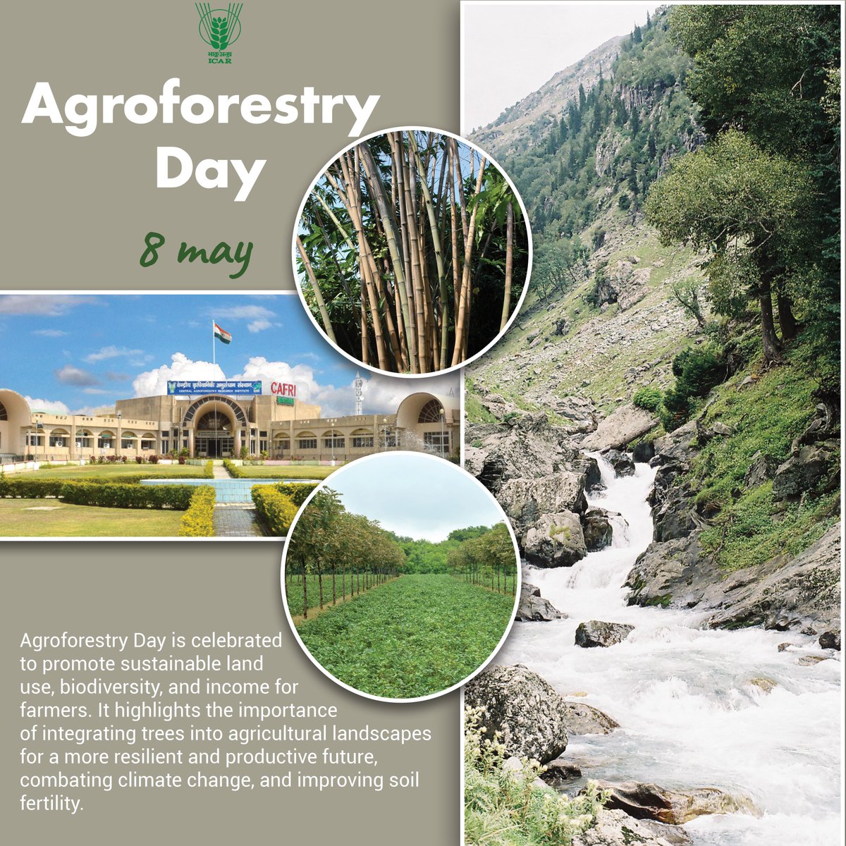 Agroforestry Day 8th May 

#ICAR #Agriculture #farming @PMOIndia
@mygovindia  @PIB_India  @AgriGoI
 @DDKisanChannel @Dept_of_AHD
 #AgroforestryDay