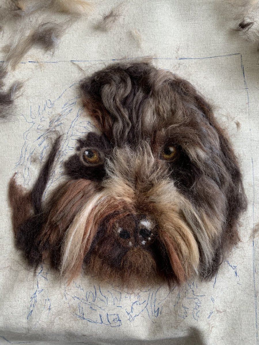 @MHHSBD #MHHSBD so todays word is SCRAMBLED. When I am working on a project my wool ends up in a scrambled mess! #dogs #petportraits #labradoodle #cockapoo #woolart #needlefelting
