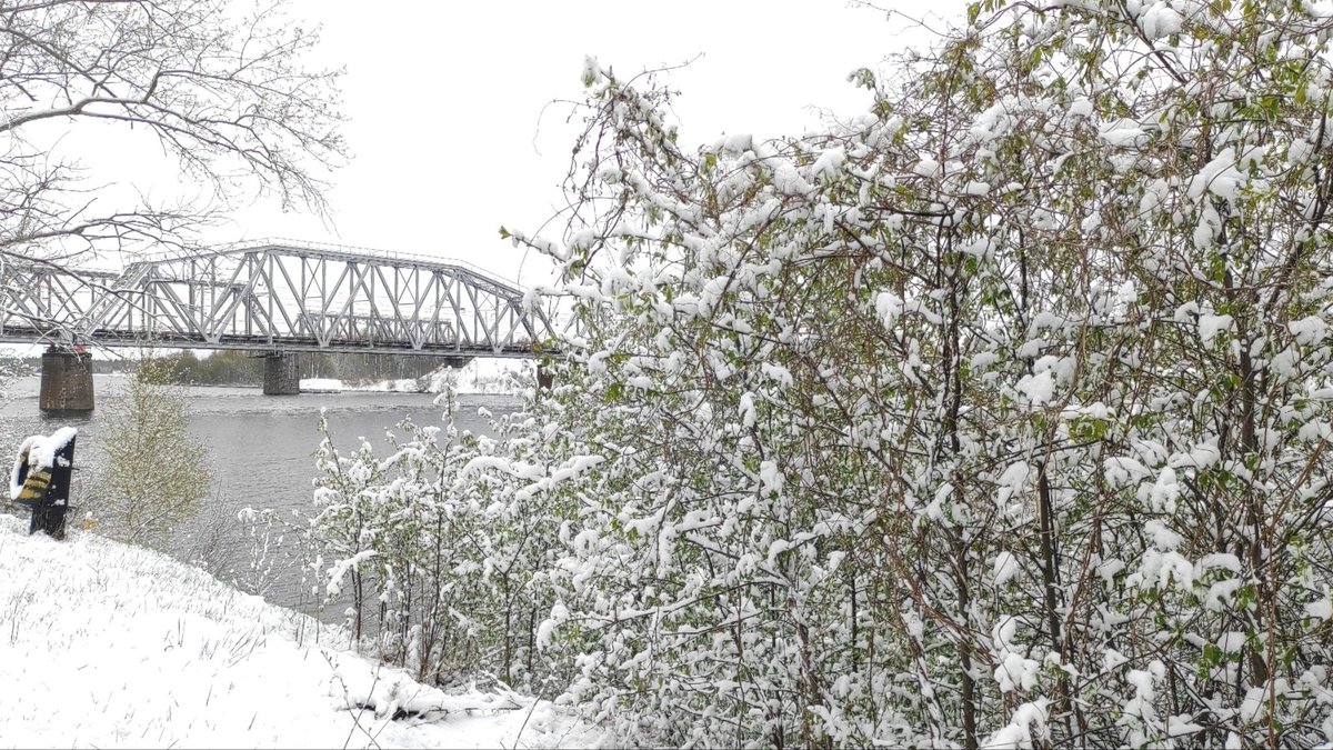 Сегодня ❄⛄🌨☃