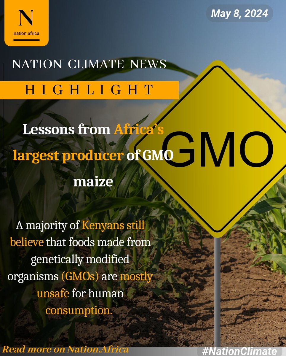 Lessons from Africa’s largest producer of GMO maize

#NationClimate

nation.africa/kenya/health/l…
