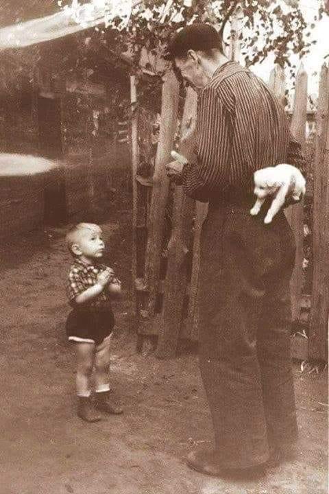 « Cette photographie date de 1955 intitulée ''Quelques secondes avant le bonheur »…