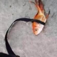 Thank you random tag <a href="/iptuv/">ًً</a> @brijadier @datectiv <a href="/gsion/">시온.</a> <a href="/lpasukan/">xc. nox, ᴋᴏᴋᴏ “cebe” vadid</a> <a href="/vcanilIa/">𝐆! It's Dwn Cici Zᥲnnᥲ Bell Hill 𝐓udors Kintara</a> <a href="/cipogk/">misel misul🎐</a> @ckarinayuu <a href="/imuta/">୨ৎ</a>