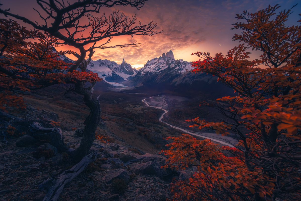 Fall colors in Patagonia 🏔️🍁