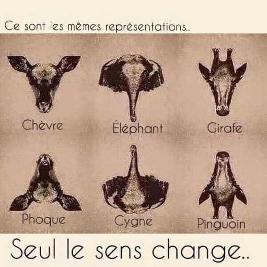 🤓 Ce sont les mêmes représentations... Seul le sens change ! 😉 👌 Étonnant, non ? 🙂

Bonne journée à toutes et à tous 🙏

Olivier et son équipe
#Opticien #Atol à #Paris15 🔹 #Paris