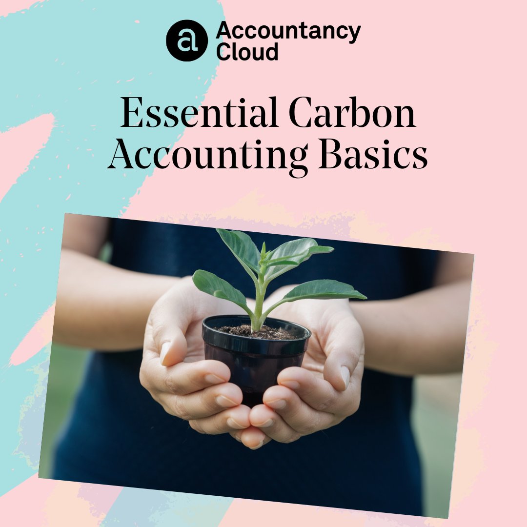 Read our detailed guide on Carbon Accounting and why it's important 💚➡️ theaccountancycloud.com/blogs/essentia…

#greenaccounting #carbonaccounting #businessblogs #tipsandtricks #accountancycloud #entrepreneurship #greenhousegases #greenhousegasesemissions #carbonfootprint