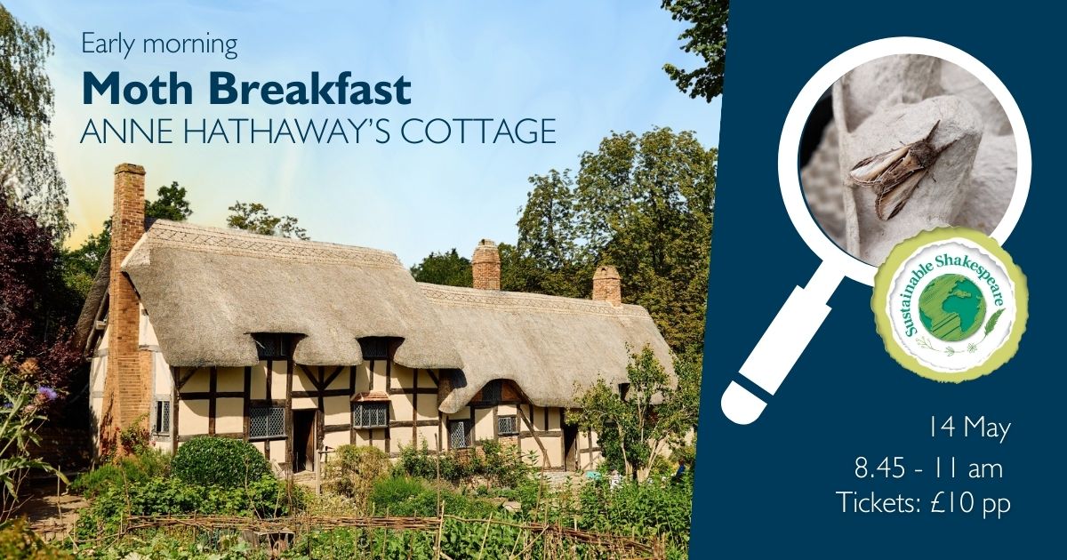 Join us for the start of SBT's Great Big Green Month💚 ⛅ Start the day at Anne Hathaway's Cottage for a light breakfast and then see if you can 🔎 spot the myriad of rare breed moths that call Shottery home. 🦋 Find out more: bit.ly/3w7QDYo