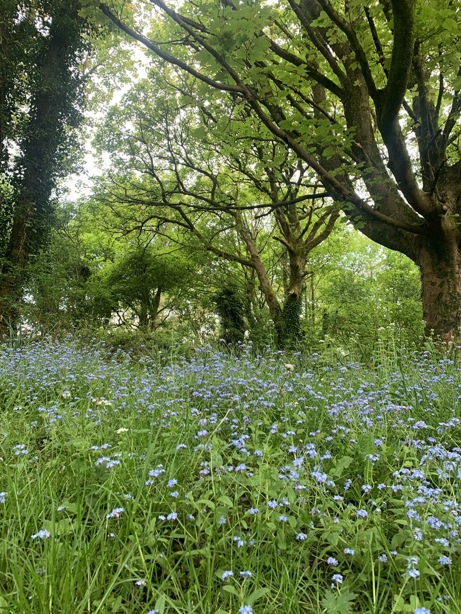 May might just be my favourite month. @GmWalks #GMWalkingFestival