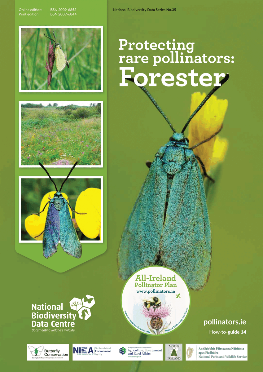 📢New Forester Moth resources 📢 This beautiful pollinator is in decline due to habitat loss. Help protect it with a free guideline, poster & signage template Developed by @savebutterflies, NI, @BioDataCentre, @NPWSIreland, Moths Ireland & NIEA pollinators.ie/protecting-rar…