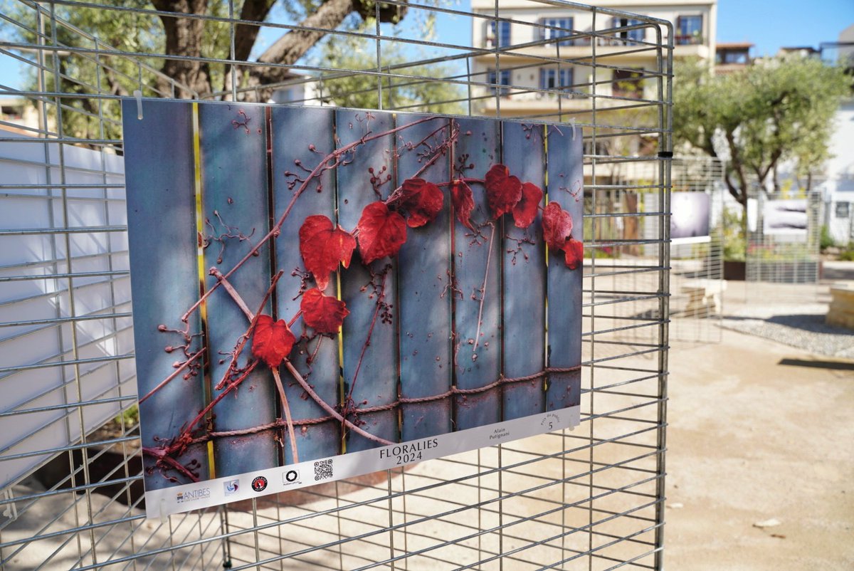 Jusqu'à demain soir, venez découvrir l'exposition photos d'#Antibes Photo Club au jardin d'Eden, organisée dans le cadre des Floralies. Des clichés originaux pour un regard sur le 'graphisme dans le végétal'. Le public peut voter pour son cliché préféré. Accès libre.