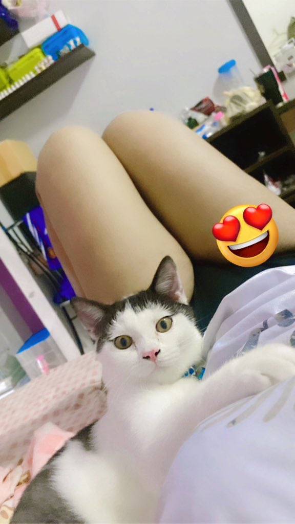 ครูนกแก้ว tweet media