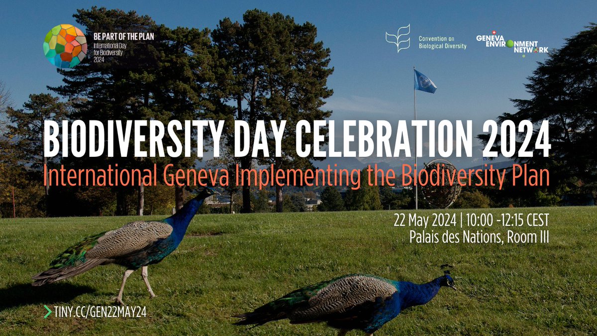 #SaveTheDate! Join the #GENeva celebration of #BiodiversityDay as we highlight International Geneva’s role in implementing the #BiodiversityPlan, including mobilizing and bolstering its means of implementation. 📅 22 May, 10:00 CEST, Palais des Nations ▶️tiny.cc/GEN22May24