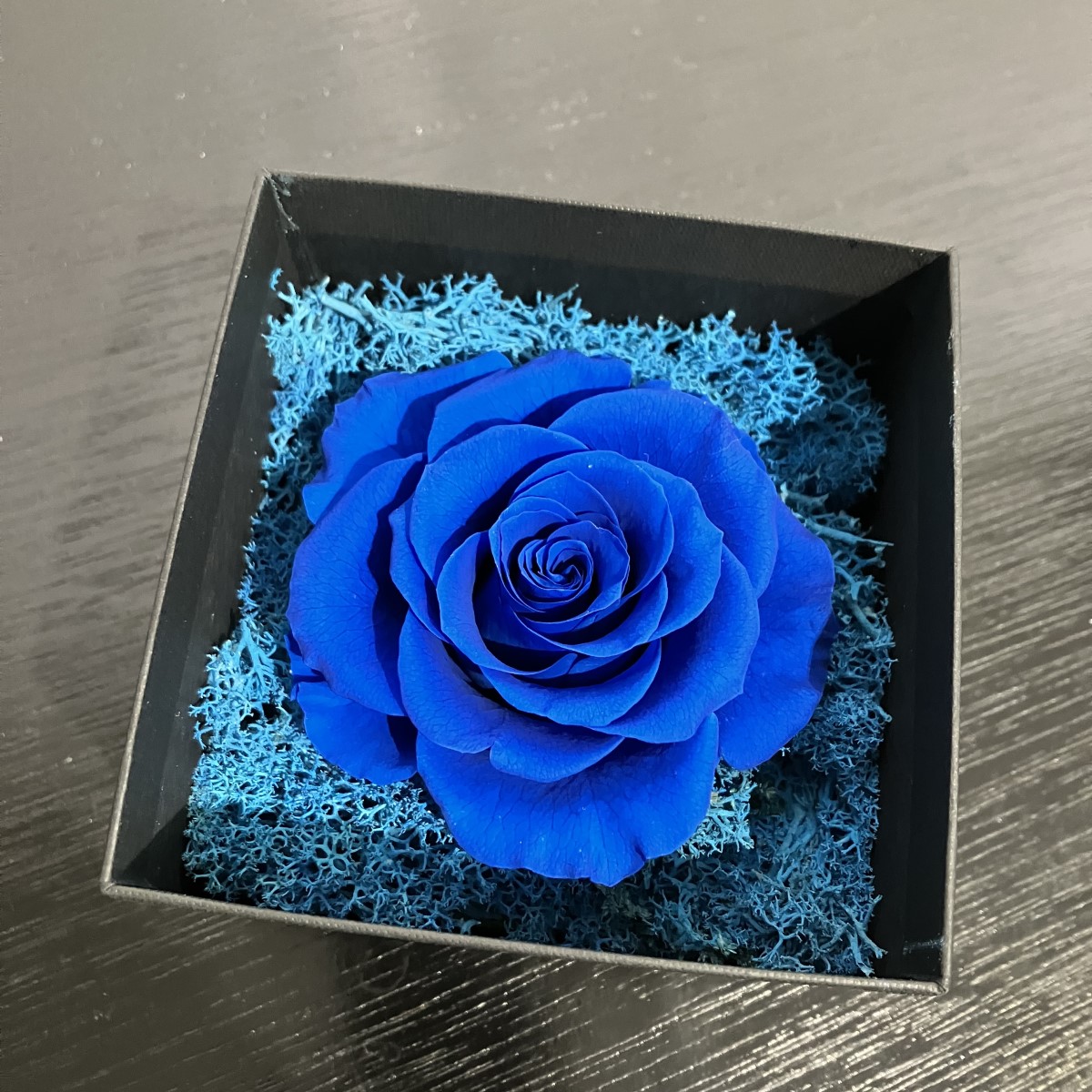 先日、国立競技場で開催されたAdo SPECIAL LIVE 2024「心臓」のVIP席の