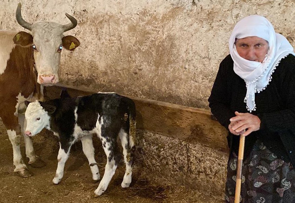 Kars'ta hayvancılık ile uğraşan 71 yaşındaki Sarıgül Kaçan, buzağısını satıp parasını Filistin'e göndereceğini açıkladı.